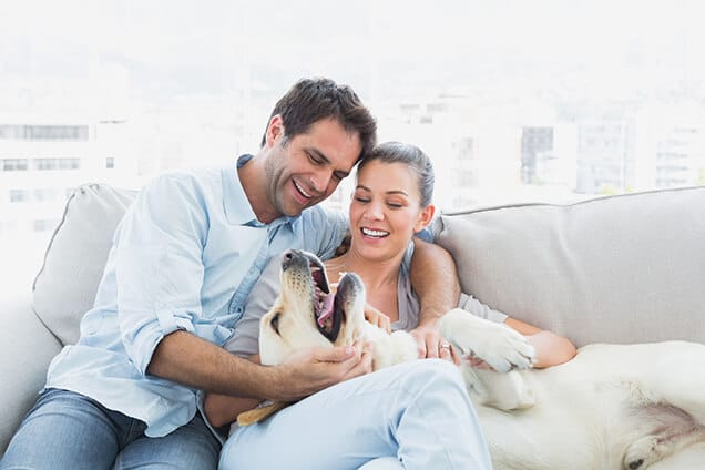 Couple on Couch with their Dog
