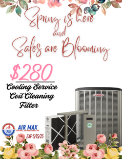Seasonal Promo